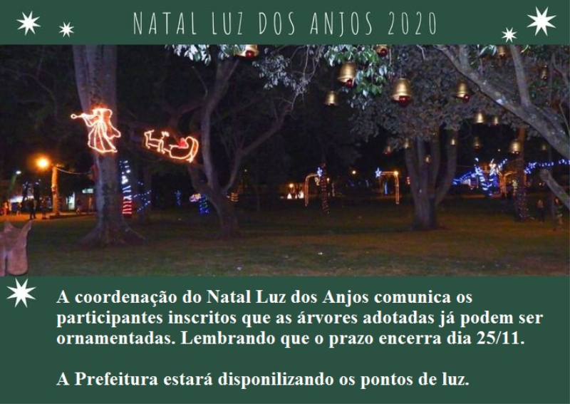 As árvores adotadas já podem ser ornamentadas